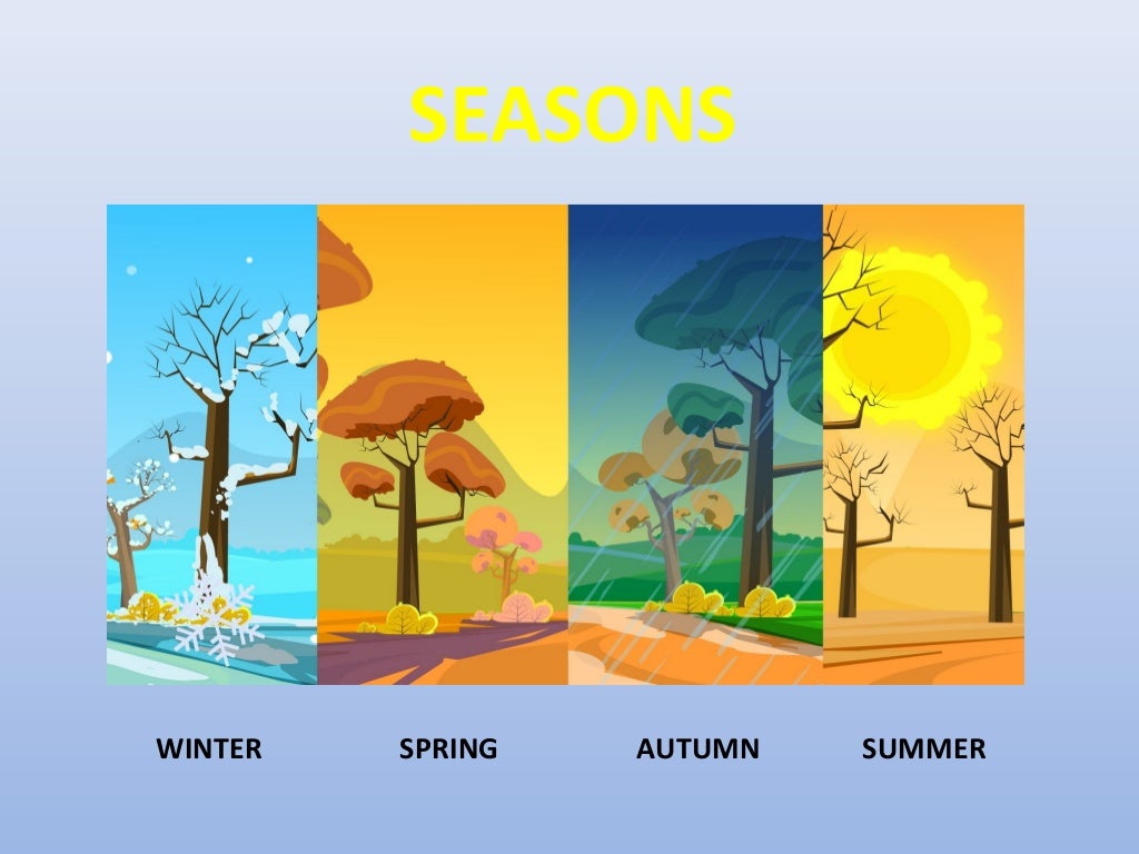 Как будет по английски осень. Времена года иллюстрации. Изображения времен года для детей. Картинки по временам года.