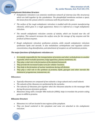 Ultra structure of cell,
By, sardar Hussain, Asst. Prof. GSC, CTA.
11
2016-17
Endoplasmic Reticulum Structure
 Endoplasmic reticulum is an extensive membrane network of cisternae (sac-like structures),
which are held together by the cytoskeleton. The phospholipid membrane encloses a space,
the lumen from the cytosol, which is continuous with the perinuclear space.
 The surface of the rough endoplasmic reticulum is studded with the protein manufacturing
ribosome, which gives it a rough appearance. Hence it is referred as a rough endoplasmic
reticulum.
 The smooth endoplasmic reticulum consists of tubules, which are located near the cell
periphery. This network increases the surface area for the storage of key enzymes and the
products of these enzymes.
 Rough endoplasmic reticulum synthesizes proteins, while smooth endoplasmic reticulum
synthesizes lipids and steroids. It also metabolizes carbohydrates and regulates calcium
concentration, drug detoxification, and attachment of receptors on cell membrane proteins.
The major functions of Endoplasmic reticulum are:
1. It is mainly responsible for the transportation of proteins and other carbohydrates to another
organelle, which includes lysosomes, Golgi apparatus, plasma membrane, etc.
2. They play a vital role in the formation of the skeletal framework.
3. They provide the increased surface area for cellular reactions.
4. They help in the formation of nuclear membrane during cell division.
5. They play a vital role in the synthesis of proteins, lipids, glycogen and other steroids like
cholesterol, progesterone, testosterone, etc.
Ribosomes:
 Typically ribosomes are composed of two subunits: a large subunit and a small subunit.
 The subunits of the ribosome are synthesized by the nucleolus.
 The subunits of ribosomes join together when the ribosomes attaches to the messenger RNA
during the process of protein synthesis.
 Ribosomes along with a transfer RNA molecule (tRNA), helps to translate the protein-coding
genes in mRNA to proteins.
Ribosome Structure
 Ribosomes in a cell are located in two regions of the cytoplasm.
 They are found scattered in the cytoplasm and some are attached to the endoplasmic
reticulum.
 