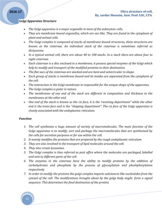 Ultra structure of cell,
By, sardar Hussain, Asst. Prof. GSC, CTA.
13
2016-17
Golgi Apparatus Structure
 The Golgi apparatus is a major organelle in most of the eukarytoic cells.
 They are membrane bound organelles, which are sac-like. They are found in the cytoplasm of
plant and animal cells.
 The Golgi complex is composed of stacks of membrane-bound structures, these structures are
known as the cisternae. An individual stack of the cisternae is sometimes referred as
dictyosome.
 In a typical animal cell, there are about 40 to 100 stacks. In a stack there are about four to
eight cisternae.
 Each cisternae is a disc enclosed in a membrane, it possess special enzymes of the Golgi which
help to modify and transport of the modified proteins to their destination.
 The flat sacs of the cisternae are stacked and are bent and semicircular in shape.
 Each group of stacks is membrane bound and its insides are separated from the cytoplasm of
the cell.
 The interaction in the Golgi membrane in responsible for the unique shape of the apparatus.
 The Golgi complex is polar in nature.
 The membranes of one end of the stack are different in composition and thickness to the
membranes at the other end.
 One end of the stack is known as the cis face, it is the 'receiving department" while the other
end is the trans face and is the "shipping department". The cis face of the Golgi apparatus is
closely associated with the endoplasmic reticulum.
Function
1. The cell synthesize a huge amount of variety of macromolecules. The main function of the
Golgi apparatus is to modify, sort and package the macromolecules that are synthesized by
the cells for secretion purposes or for use within the cell.
2. It mainly modifies the proteins that are prepared by the rough endoplasmic reticulum.
3. They are also involved in the transport of lipid molecules around the cell.
4. They also create lysosomes.
5. The Golgi complex is thus referred as post office where the molecules are packaged, labelled
and sent to different parts of the cell.
6. The enzymes in the cisternae have the ability to modify proteins by the addition of
carbohydrates and phosphate by the process of glycosylation and phoshphorylation
respectively.
7. In order to modify the proteins the golgi complex imports substances like nucleotides from the
cytosol of the cell. The modifications brought about by the golgi body might form a signal
sequence. This determines the final destination of the protein.
 