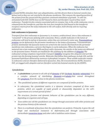 Ultra structure of cell,
By, sardar Hussain, Asst. Prof. GSC, CTA.
20
2016-17
activated EGFRs stimulate their own ubiquitination, and this directs them to lumenal vesicles (see
below) and so they are not recycled to the plasma membrane. This removes the signaling portion of
the protein from the cytosol and thus prevents continued stimulation of growth - in cells not
stimulated with EGF, EGFRs have no EGF bound to them and therefore recycle if they reach
endosomes. Transferrin also remains associated with its receptor, but, in the acidic endosome, iron is
released from the transferrin, and then the iron-free transferrin (still bound to the transferrin
receptor) returns from the early endosome to the cell surface, both directly and via recycling
endosomes.
Late endosomes to lysosomes
Transport from late endosomes to lysosomes is, in essence, unidirectional, since a late endosome is
"consumed" in the process of fusing with a lysosome. Hence, soluble molecules in the lumen of
endosomes will tend to end up in lysosomes, unless they are retrieved in some way. Transmembrane
proteins can be delivered to the perimeter membrane or the lumen of lysosomes. Transmembrane
proteins destined for the lysosome lumen are sorted into the vesicles that bud from the perimeter
membrane into endosomes, a process that begins in early endosomes. When the endosome has
matured into a late endosome/MVB and fuses with a lysosome, the vesicles in the lumen are delivered
to the lysosome lumen. Proteins are marked for this pathway by the addition of ubiquitin The
endosomal sorting complexes required for transport (ESCRTs) recognise this ubiquitin and sort the
protein into the forming lumenal vesicles. Molecules that follow these pathways include LDL and the
lysosomal hydrolases delivered by mannose-6-phosphate receptors. These soluble molecules remain
in endosomes and are therefore delivered to lysosomes. Also, the transmembrane EGFRs, bound to
EGF, are tagged with ubiquitin and are therefore sorted into lumenal vesicles by the ESCRTs.
Cytoskeleton:
 A cytoskeleton is present in all cells of all domains of life (archaea, bacteria, eukaryotes). It is
a complex network of interlinking filaments and tubules that extend throughout
the cytoplasm, from the nucleus to the plasma membrane.
 The cytoskeletal systems of different organisms are composed of similar proteins.
 In eukaryotes, the cytoskeletal matrix is a dynamic structure composed of three main
proteins, which are capable of rapid growth or disassembly dependent on the cell's
requirements at a certain period of time.[
 The structure, function and dynamic behavior of the cytoskeleton can be very different,
depending on organism and cell type.
 Even within one cell the cytoskeleton can change through association with other proteins and
the previous history of the network.
 There is a multitude of functions that the cytoskeleton can perform. Primarily, it gives the cell
shape and mechanical resistance to deformation, and through association with
extracellular connective tissue and other cells it stabilizes entire tissues.
 