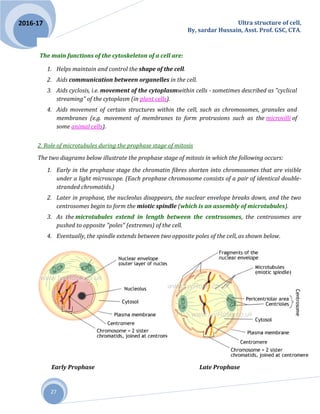 Ultra structure of cell,
By, sardar Hussain, Asst. Prof. GSC, CTA.
27
2016-17
The main functions of the cytoskeleton of a cell are:
1. Helps maintain and control the shape of the cell.
2. Aids communication between organelles in the cell.
3. Aids cyclosis, i.e. movement of the cytoplasmwithin cells - sometimes described as "cyclical
streaming" of the cytoplasm (in plant cells).
4. Aids movement of certain structures within the cell, such as chromosomes, granules and
membranes (e.g. movement of membranes to form protrusions such as the microvilli of
some animal cells).
2. Role of microtubules during the prophase stage of mitosis
The two diagrams below illustrate the prophase stage of mitosis in which the following occurs:
1. Early in the prophase stage the chromatin fibres shorten into chromosomes that are visible
under a light microscope. (Each prophase chromosome consists of a pair of identical double-
stranded chromatids.)
2. Later in prophase, the nucleolus disappears, the nuclear envelope breaks down, and the two
centrosomes begin to form the miotic spindle (which is an assembly of microtubules).
3. As the microtubules extend in length between the centrosomes, the centrosomes are
pushed to opposite "poles" (extremes) of the cell.
4. Eventually, the spindle extends between two opposite poles of the cell, as shown below.
Early Prophase Late Prophase
 