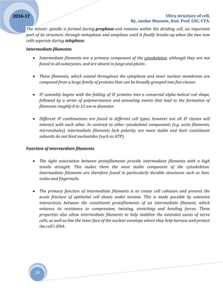 Ultra structure of cell,
By, sardar Hussain, Asst. Prof. GSC, CTA.
28
2016-17
The mitotic spindle is formed during prophase and remains within the dividing cell, an important
part of its structure, through metaphase and anaphase until it finally breaks-up when the two new
cells separate during telophase.
Intermediate filaments
 Intermediate filaments are a primary component of the cytoskeleton, although they are not
found in all eukaryotes, and are absent in fungi and plants .
 These filaments, which extend throughout the cytoplasm and inner nuclear membrane are
composed from a large family of proteins that can be broadly grouped into five classes.
 IF assembly begins with the folding of IF proteins into a conserved alpha-helical rod shape,
followed by a series of polymerization and annealing events that lead to the formation of
filaments roughly 8 to 12 nm in diameter.
 Different IF combinations are found in different cell types, however not all IF classes will
interact with each other. In contrast to other cytoskeletal components (e.g. actin filaments,
microtubules), intermediate filaments lack polarity, are more stable and their constituent
subunits do not bind nucleotides (such as ATP).
Function of intermediate filaments
 The tight association between protofilaments provide intermediate filaments with a high
tensile strength. This makes them the most stable component of the cytoskeleton.
Intermediate filaments are therefore found in particularly durable structures such as hair,
scales and fingernails.
 The primary function of intermediate filaments is to create cell cohesion and prevent the
acute fracture of epithelial cell sheets under tension. This is made possible by extensive
interactions between the constituent protofilaments of an intermediate filament, which
enhance its resistance to compression, twisting, stretching and bending forces. These
properties also allow intermediate filaments to help stabilize the extended axons of nerve
cells, as well as line the inner face of the nuclear envelope where they help harness and protect
the cell’s DNA.
 