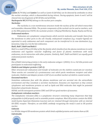 Ultra structure of cell,
By, sardar Hussain, Asst. Prof. GSC, CTA.
33
2016-17
Lamin A (74 kDa) and Lamin C as well as Lamin B (68 kDa) can be detected by antibodies to show
the nuclear envelope, which is disassembled during mitosis. During apoptosis, lamin A and C will be
cleaved into two fragments of 40-50 kDa and of 28 kDa.
Nucleoporin 98 (NUP98) belongs to the nuclear pore complex.
Nucleolus:
The nucleolus is a non-membranous structure inside the nucleus of the cell which transcribes
and assembles ribosomal RNAs. The protein components of the nucleoli can be used as markers, such
as the RNA polymerase PAF49, the nucleolar protein 1 (Nop1p/Fibrillarin), Nop2p, Nop5p and Nsr1p.
Endosomal markers
Endosomes are cytoplasmic compartments which encircle molecules and transfer them from
the membrane to other parts in the cell. Usually, endocytosed complexes (e.g. receptor-ligand) are
separated in early endosomes and each component can be transferred to its new destination (e.g.
lysosomes, Golgi etc.) via the late endosomes.
Rab5, Rab7, Rab9 and Rab11
Rab5 is a small GTPase (24 kDa) of the Ras family which shuttles from the plasma membrane to early
endosomes and regulates vesicular trafficking and fusion of plasma membranes with early
endosomes, via its interaction with other proteins. Similarly, Rab7, Rab9 and Rab11 are equally good
endosomal protein markers.
EEA1
One of Rab5 interacting proteins is the early endosome antigen 1 (EEA1). It is a 162 kDa protein and
participates in endosomal trafficking.
Clathrin and Adaptor protein-2 (AP-2)
Other structures for endocytosis and transfer of molecules are the clathrin-coated pits (or vesicles).
These vesicles are consisted of a proteinaceous coat which packs membrane receptors and other
molecules. Clathrin and Adaptor protein-2 (AP-2) are excellent markers of clathrin-coated vesicles.
Exosomal markers
Sometimes endosomes fuse with the plasma membrane and are secreted into the extracellular
environment and they constitute a secretion mechanism. Exosomes are important as they contain
cytoplasmic and membrane proteins as well as lipids and RNA molecules that might be potential
biomarkers of particular diseases.
HSPA8, and the tetraspanin proteins CD81 and CD9 are good markers of exosomes.
Endoplasmic reticulum markers
The endoplasmic reticulum (ER) is a cytoplasmic structure containing many chaperones that help
polypeptides to fold properly and to assemble protein complexes. Most ER proteins contain the KDEL
motif (Lysine-Aspartate-Glutamine-Leucine) and are retained through interaction with an internal
ER KDEL receptor. Therefore, an anti-KDEL antibody recognizing the motif is used as ER positive
marker.
Calnexin
is a 90 kDa integral ER membrane protein which binds unfolded proteins and retains them at ER.
Calreticulin
 