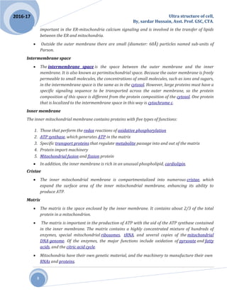 Ultra structure of cell,
By, sardar Hussain, Asst. Prof. GSC, CTA.
8
2016-17
important in the ER-mitochondria calcium signaling and is involved in the transfer of lipids
between the ER and mitochondria.
 Outside the outer membrane there are small (diameter: 60Å) particles named sub-units of
Parson.
Intermembrane space
 The intermembrane space is the space between the outer membrane and the inner
membrane. It is also known as perimitochondrial space. Because the outer membrane is freely
permeable to small molecules, the concentrations of small molecules, such as ions and sugars,
in the intermembrane space is the same as in the cytosol. However, large proteins must have a
specific signaling sequence to be transported across the outer membrane, so the protein
composition of this space is different from the protein composition of the cytosol. One protein
that is localized to the intermembrane space in this way is cytochrome c.
Inner membrane
The inner mitochondrial membrane contains proteins with five types of functions:
1. Those that perform the redox reactions of oxidative phosphorylation
2. ATP synthase, which generates ATP in the matrix
3. Specific transport proteins that regulate metabolite passage into and out of the matrix
4. Protein import machinery
5. Mitochondrial fusion and fission protein
 In addition, the inner membrane is rich in an unusual phospholipid, cardiolipin.
Cristae
 The inner mitochondrial membrane is compartmentalized into numerous cristae, which
expand the surface area of the inner mitochondrial membrane, enhancing its ability to
produce ATP.
Matrix
 The matrix is the space enclosed by the inner membrane. It contains about 2/3 of the total
protein in a mitochondrion.
 The matrix is important in the production of ATP with the aid of the ATP synthase contained
in the inner membrane. The matrix contains a highly concentrated mixture of hundreds of
enzymes, special mitochondrial ribosomes, tRNA, and several copies of the mitochondrial
DNA genome. Of the enzymes, the major functions include oxidation of pyruvate and fatty
acids, and the citric acid cycle.
 Mitochondria have their own genetic material, and the machinery to manufacture their own
RNAs and proteins.
 