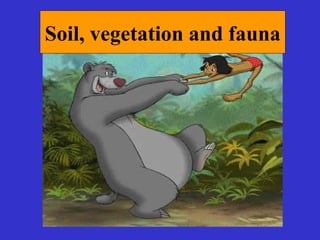 Soil, vegetation and fauna 