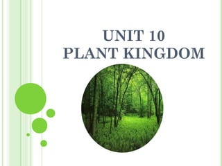 UNIT 10
PLANT KINGDOM
 