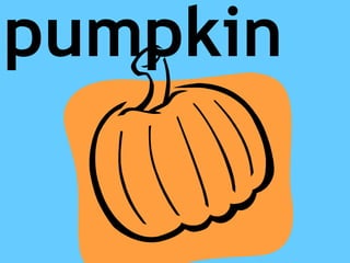 pumpkin
 