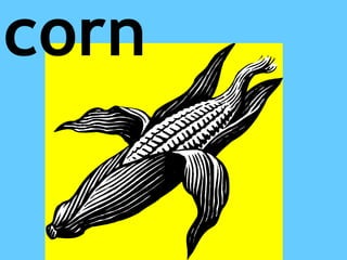 corn
 
