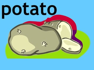 potato
 
