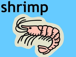 shrimp
 