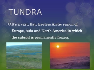 It’s a vast, flat, treeless Arctic region of
  Europe, Asia and North America in which
  the subsoil is permanently frozen.
 