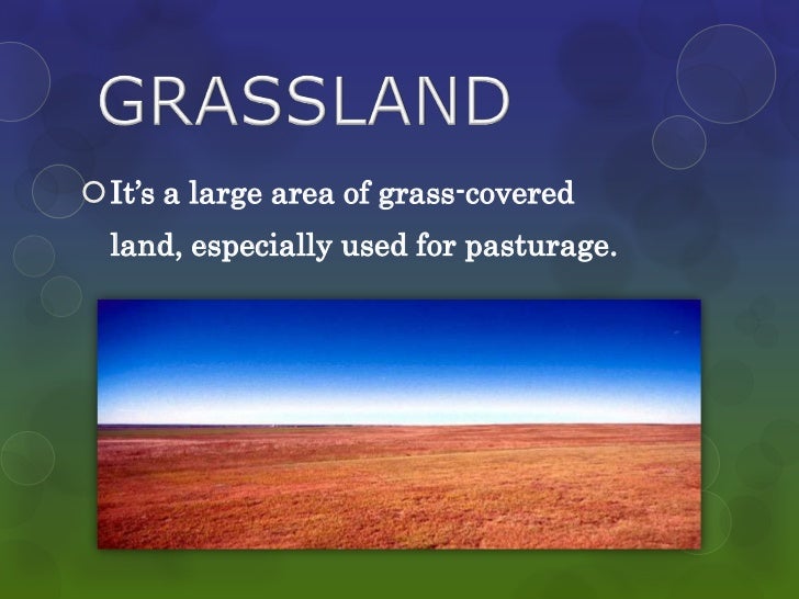 Basic geography terms
