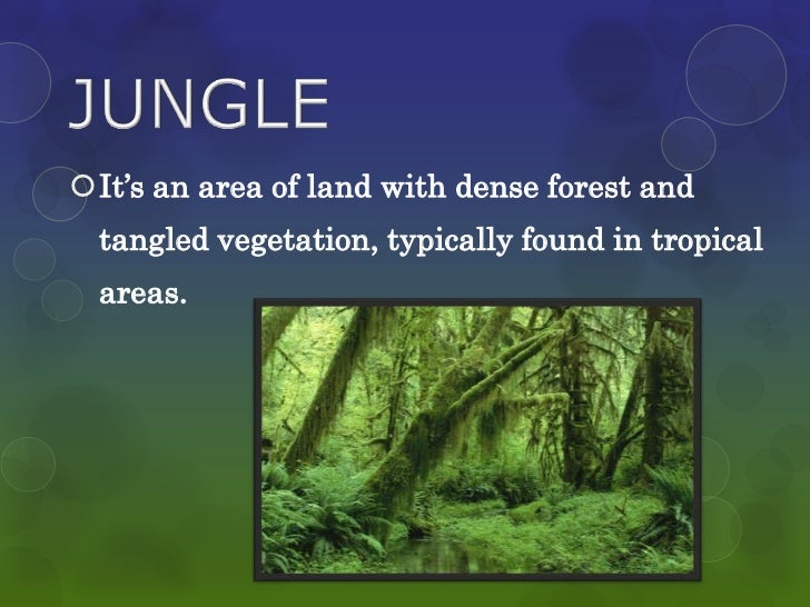 Basic geography terms