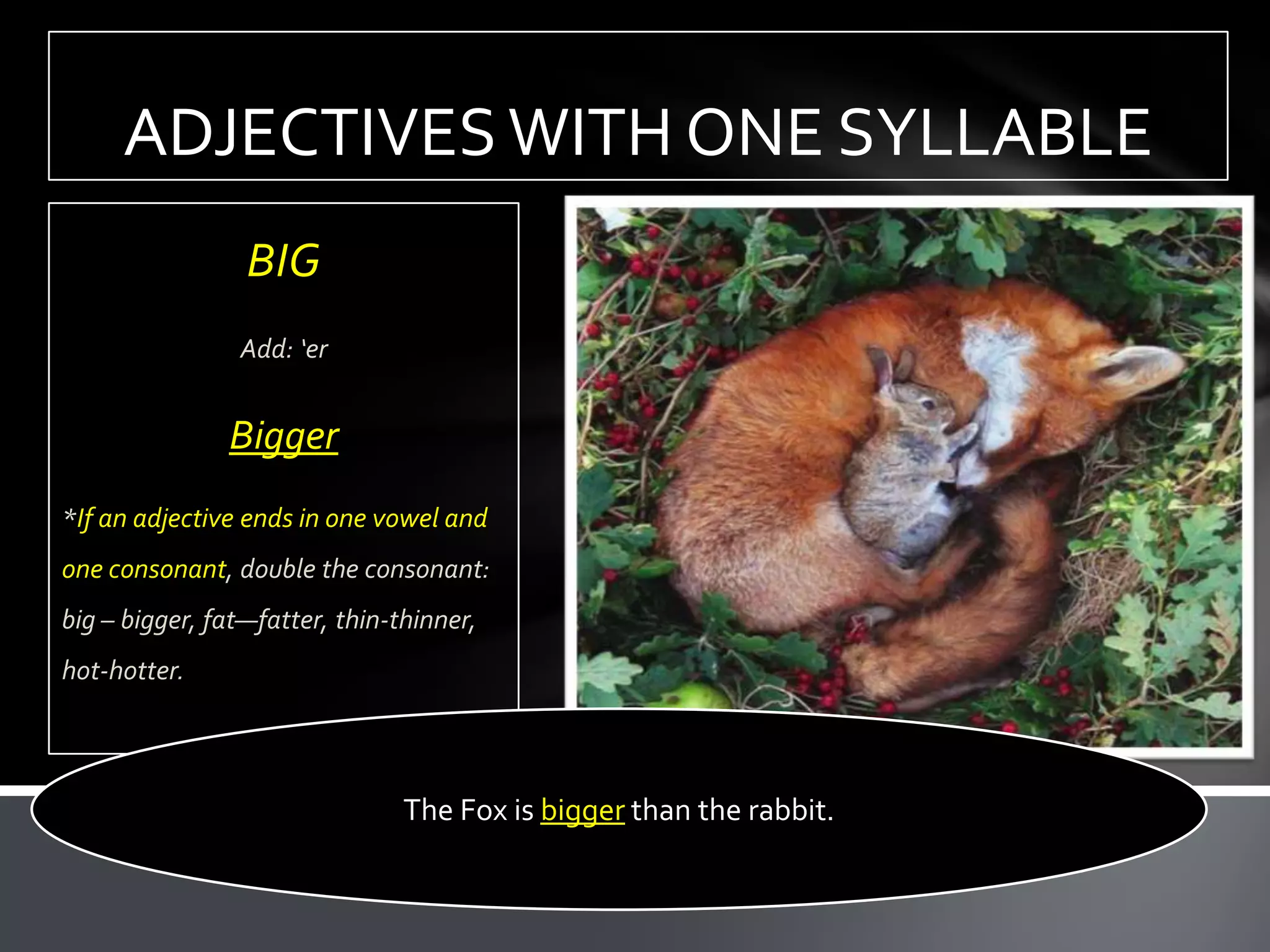 ADJECTIVES WITH ONE SYLLABLE
                 BIG
                Add: ‘er


               Bigger
*If an adjective ends in one vowel and
one consonant, double the consonant:
big – bigger, fat—fatter, thin-thinner,
hot-hotter.




                                The Fox is bigger than the rabbit.
 