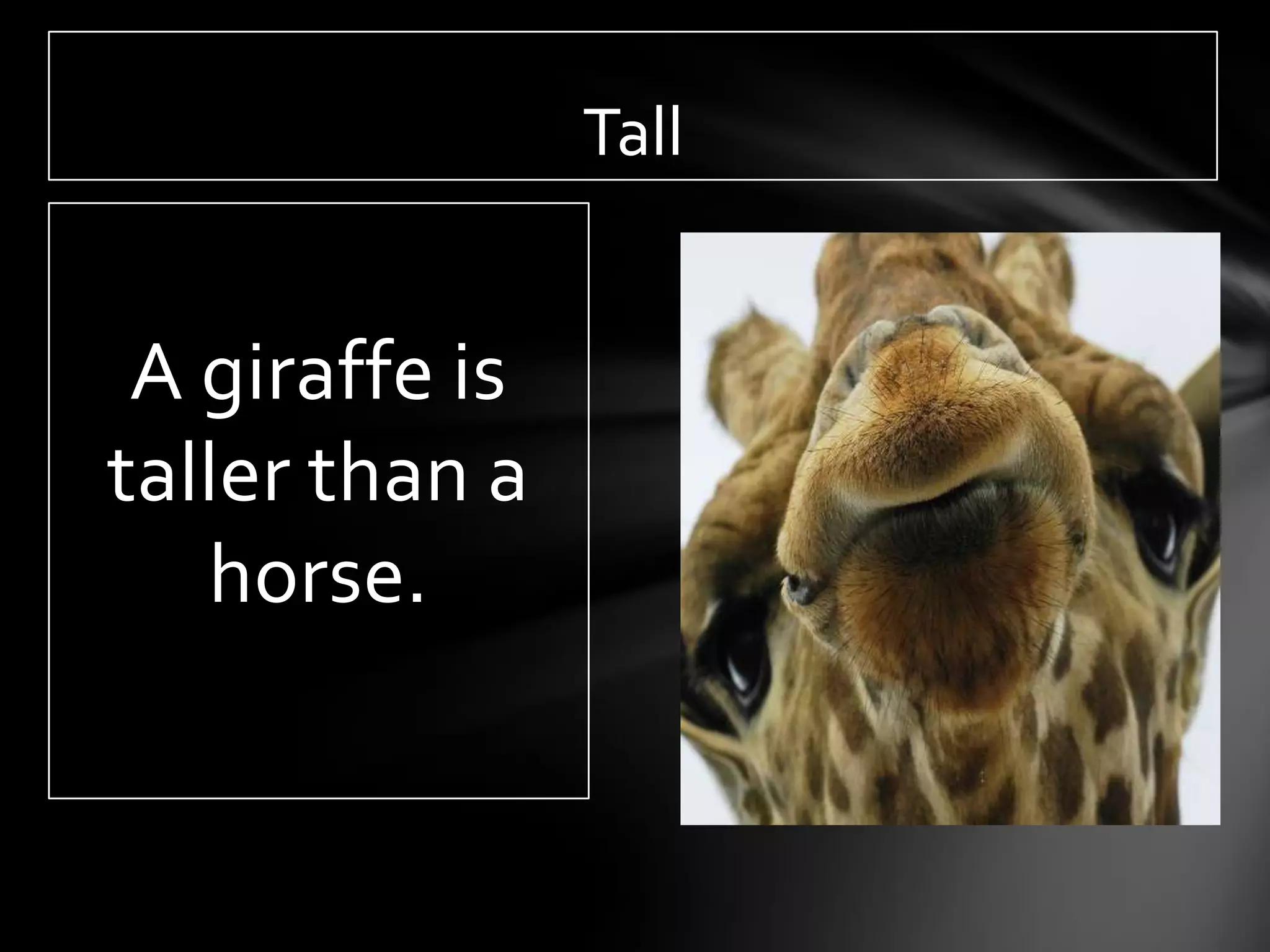 Tall


 A giraffe is
taller than a
   horse.
 