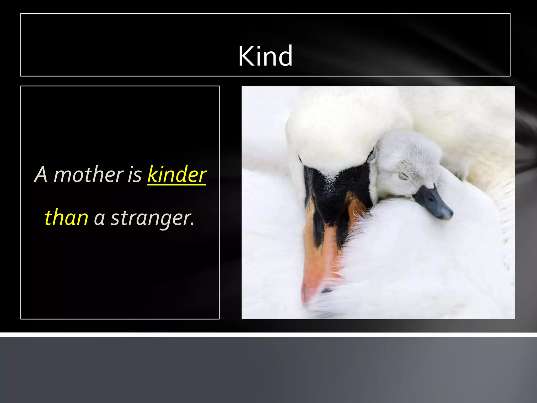Kind


A mother is kinder
 than a stranger.
 