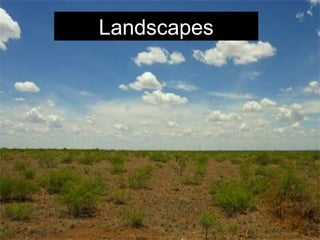 Landscapes 