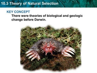 KEY CONCEPT There were theories of biological and geologic change before Darwin. 