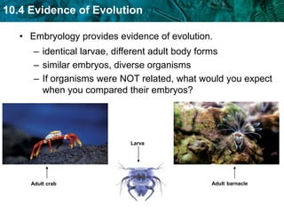 Unit 10 natural selection | PPTX