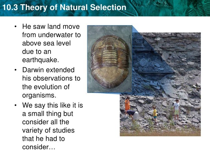 Can Natural Selection Be Observed Can Natural Selection Be Observed