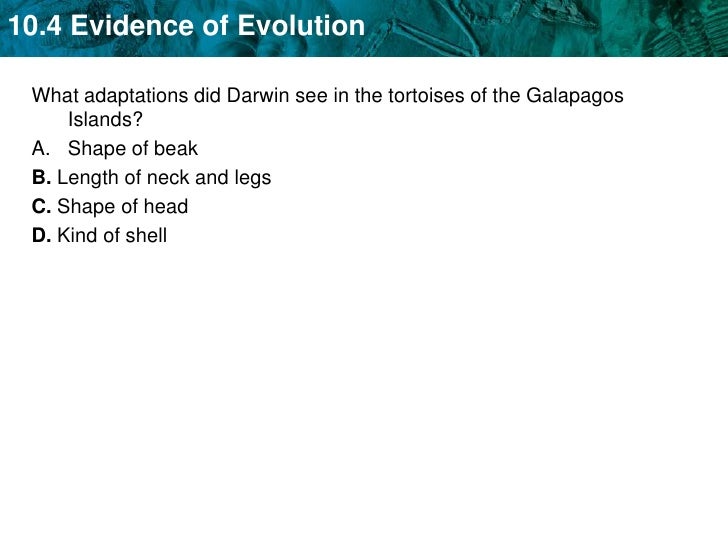 The Four Main Principles Of Natural Selection The Four Main Principles Of Natural Selection