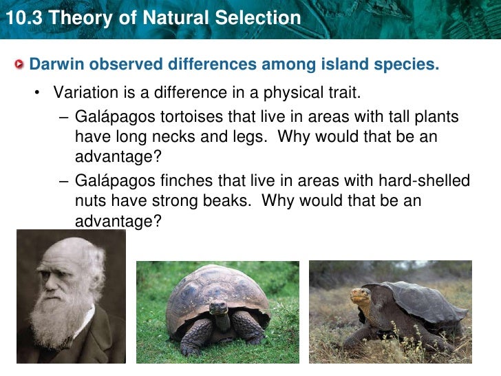 Natural Selection And Uniformitarianism Natural Selection And Uniformitarianism