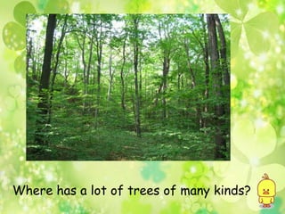 Where has a lot of trees of many kinds?
 