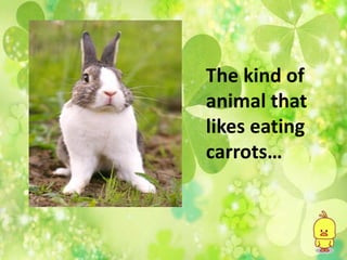 The kind of
animal that
likes eating
carrots…
 