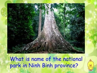 What is name of the national
park in Ninh Binh province?
 