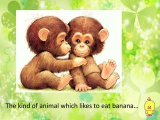 The kind of animal which likes to eat banana…
 