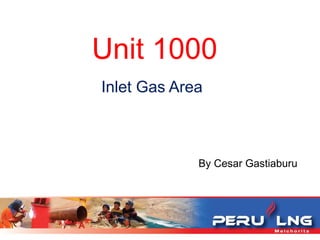 Unit 1000
Inlet Gas Area
By Cesar Gastiaburu
 