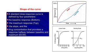 Shape of the curve
 
