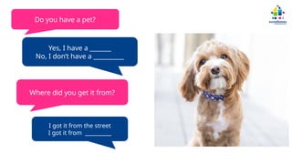 Do you have a pet?
Yes, I have a _______
No, I don’t have a __________
Where did you get it from?
I got it from the street
I got it from __________
 