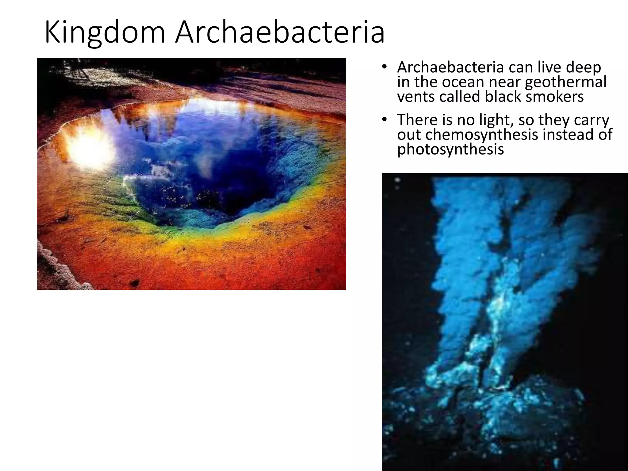 Kingdom Archaebacteria
• Archaebacteria can live deep
in the ocean near geothermal
vents called black smokers
• There is no light, so they carry
out chemosynthesis instead of
photosynthesis
 