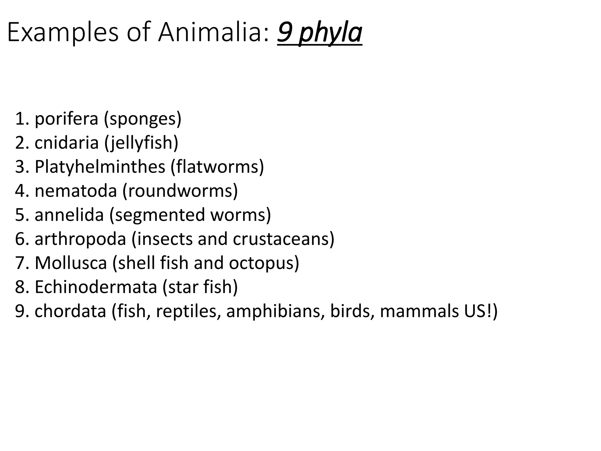 Examples of Animalia: 9 phyla
1. porifera (sponges)
2. cnidaria (jellyfish)
3. Platyhelminthes (flatworms)
4. nematoda (roundworms)
5. annelida (segmented worms)
6. arthropoda (insects and crustaceans)
7. Mollusca (shell fish and octopus)
8. Echinodermata (star fish)
9. chordata (fish, reptiles, amphibians, birds, mammals US!)
 