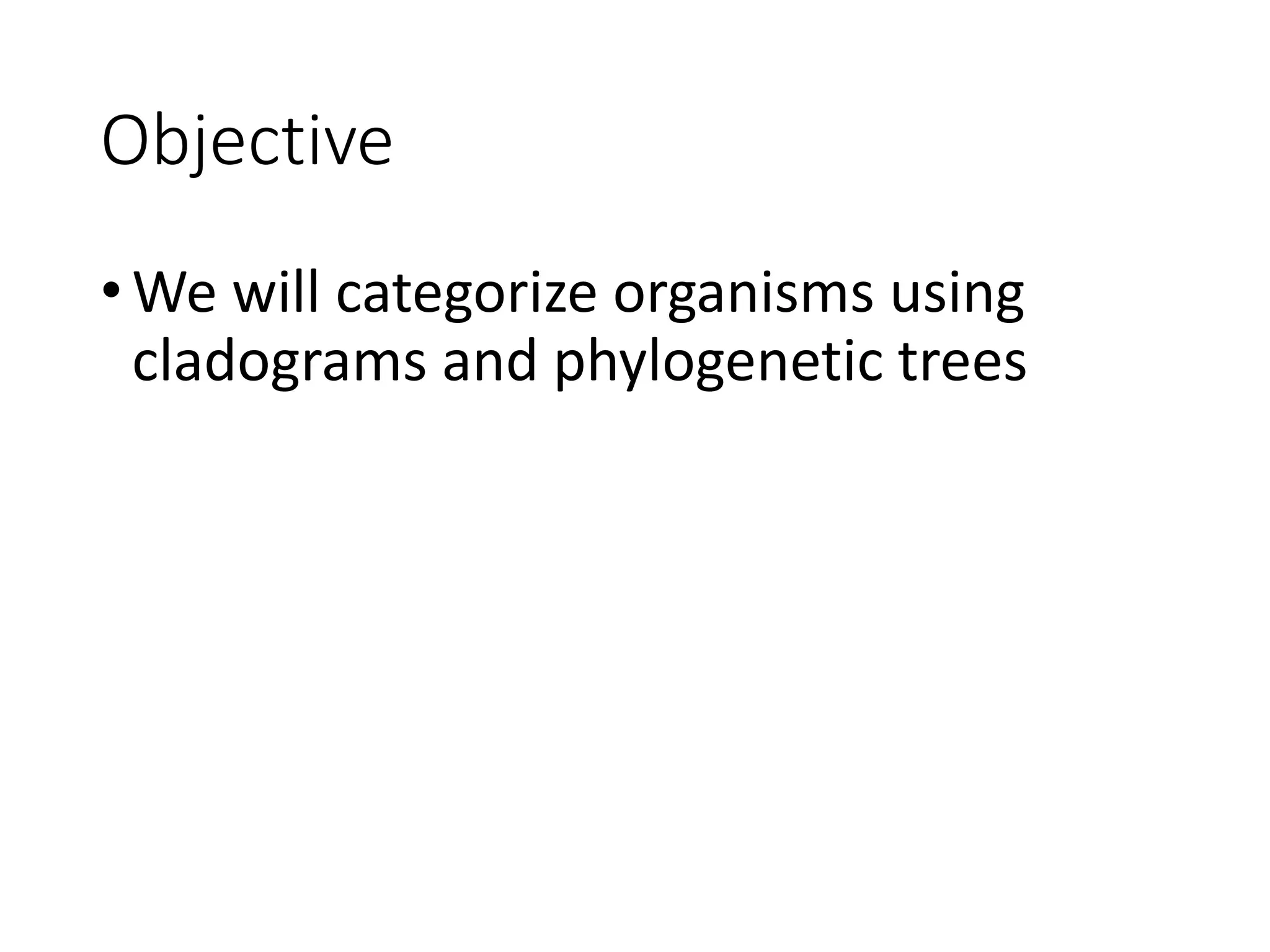 Objective
•We will categorize organisms using
cladograms and phylogenetic trees
 