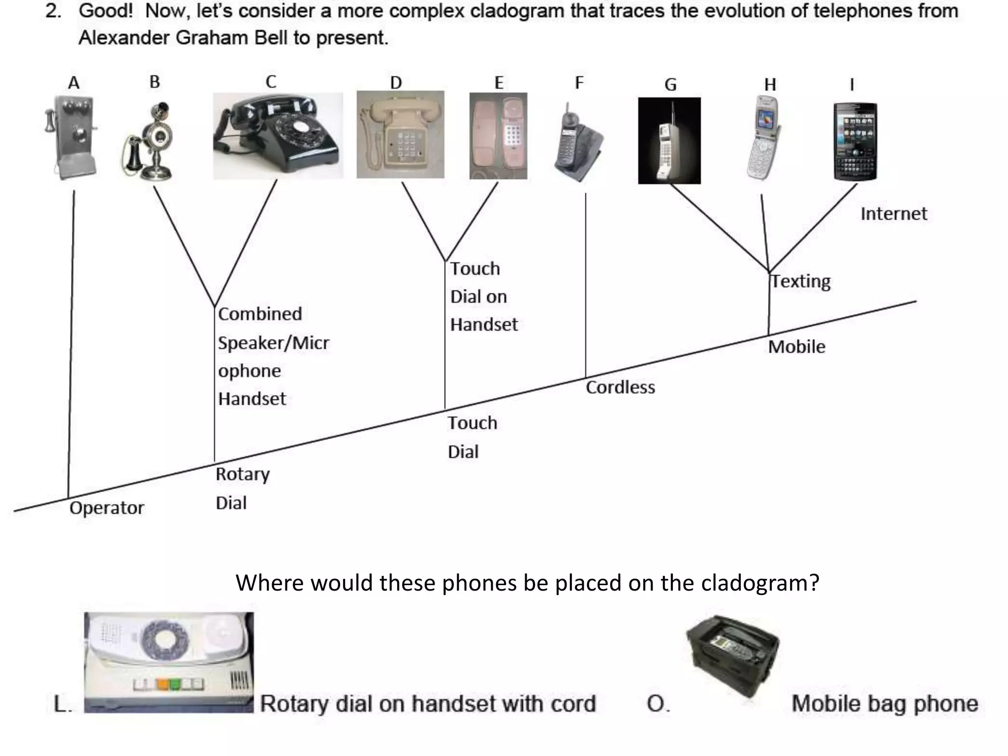 Where would these phones be placed on the cladogram?
 