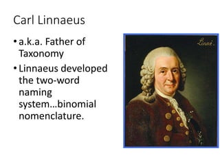 Carl Linnaeus
•a.k.a. Father of
Taxonomy
•Linnaeus developed
the two-word
naming
system…binomial
nomenclature.
 