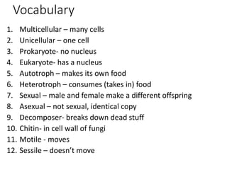 Vocabulary
1. Multicellular – many cells
2. Unicellular – one cell
3. Prokaryote- no nucleus
4. Eukaryote- has a nucleus
5. Autotroph – makes its own food
6. Heterotroph – consumes (takes in) food
7. Sexual – male and female make a different offspring
8. Asexual – not sexual, identical copy
9. Decomposer- breaks down dead stuff
10. Chitin- in cell wall of fungi
11. Motile - moves
12. Sessile – doesn’t move
 