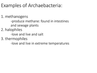 Examples of Archaebacteria:
1. methanogens
-produce methane: found in intestines
and sewage plants
2. halophiles
-love and live and salt
3. thermophiles
-love and live in extreme temperatures
 