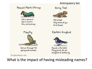 What is the impact of having misleading names?
Anticipatory Set
 