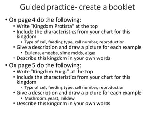 Guided practice- create a booklet
• On page 4 do the following:
• Write “Kingdom Protista” at the top
• Include the characteristics from your chart for this
kingdom
• Type of cell, feeding type, cell number, reproduction
• Give a description and draw a picture for each example
• Euglena, amoeba, slime molds, algae
• Describe this kingdom in your own words
• On page 5 do the following:
• Write “Kingdom Fungi” at the top
• Include the characteristics from your chart for this
kingdom
• Type of cell, feeding type, cell number, reproduction
• Give a description and draw a picture for each example
• Mushroom, yeast, mildew
• Describe this kingdom in your own words
 