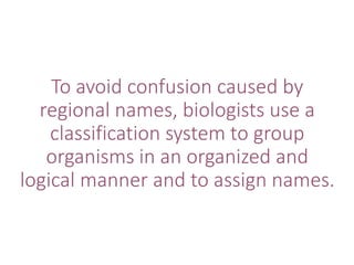 To avoid confusion caused by
regional names, biologists use a
classification system to group
organisms in an organized and
logical manner and to assign names.
 