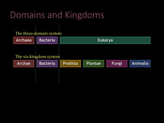 Domains and Kingdoms
BacteriaArchaea Eukarya
BacteriaArchae Protista Plantae Fungi Animalia
The three-domain system
The six-kingdom system
 