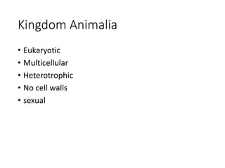 Kingdom Animalia
• Eukaryotic
• Multicellular
• Heterotrophic
• No cell walls
• sexual
 
