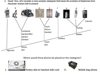 Where would these phones be placed on the cladogram?
 