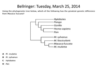 Bellringer: Tuesday, March 25, 2014
 