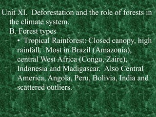 Deforestation | PPTX
