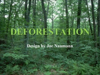 DEFORESTATION
Design by Joe Naumann
 