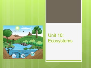 Unit 10:
Ecosystems
 